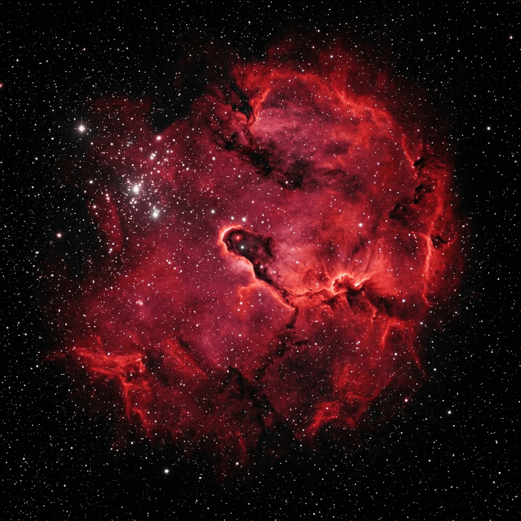 Elefantenrüsselnebel (IC 1396)